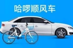 (2分钟科普)巴中分公司_哔哩哔哩-3